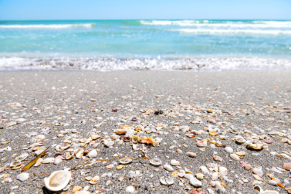 Magiske Sanibel  Af Ida Hummeluhr     Sanibel Island... Øen, hvor man kommer ned i gear og øen, hvor man kan nyde smuk natur og spotte delfiner fra strandkanten. I februar 2018 gik turen til Florida, og her var Sanibel Island et af de helt store højdepunkter. Med sin beliggenhed ud til Den mexicanske golf på Floridas vestkyst var der ikke noget at klage over. Solen skinnede fra morgen til aften, og resortet var ikke mere besøgt, end at der var ro og plads til afslapning - Sundial Beach Resort & Spa hedder det luksuriøse sted. Resortet og øen betegner sig selv som "Easy island living", og det kan man kun give dem ret i. Lækkert, hvidt sand på stranden, golfbaner, et fyrtårn og ægte ø-stemning. Med skildpadder, delfiner, fugle, alligatorer og andre dyrearter mærker man, at øen trods alt er placeret ud for Floridas kyst, hvor dyrelivet er varieret og spændende at betragte. En eftermiddag spottede vi delfiner tæt på kysten, hvor vi lå og solede og badede. Andre dage var det små hare-lignende dyr, en slange og skildpadder, der krydsede vejen - foruden alle pelikanerne. Sågar mindede resortet om, at man skulle huske at kigge efter alligatorer under bilen. Mest af alt handlede advarslen nok om, at der et stenkast fra resortet ligger et Wildlife Refuge, hvor dyrelivet og planterne for alvor folder sig ud.  Sanibel Island er i høj grad kendt for sine enormt smukke muslingeskaller, som man kan bruge mange timer på at lede efter langs strandkanten. Også fiskning er en populær beskæftigelse på øen, hvor alting går dejlig langsomt. Man glemte hurtigt alt om tid og sted, og nød i virkeligheden bare at solen skinnede, og at omgivelserne var rolige. Trængte man til at se noget andet, kunne man køre ind til fastlandet, hvor der ligger en række butikker, supermarkeder og endda et premium outlet. Hotellet i sig selv har flere restauranter, tennisbaner og endda gratis udlejningscykler, hvis krop og sind begynder at blive rastløst.  Sanibel har alt, hvad man behøver for en afslappende ferie. Kun hoteller, ferieboliger, få butikker og restauranter er at finde på øen - lige som det skal være. Nyd omgivelserne og giv dig selv lov til at slappe af og slå tankerne fra, så du kan nyde oplevelsen.  Det vil du ikke fortryde.