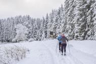 Få inspiration til din næste skiferie for hele familien her. Mulighederne er mange, men vi har udvalgt nogle af favoritterne til dig.