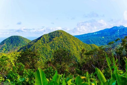 I Stillehavet finder du den amerikanske ø-gruppe Hawaii. Øerne, som altid, er blevet fremstillet som paradisøer - og det er af en grund. På Hawaii-øerne finder du paradisstrande, storslået natur, fantastiske byer og en venlig lokalbefolkning. Hawaii er et ideelt sted at rejse hen, hvis du trænger til en rejse, der både giver plads til storby-, natur- og afslapningsøjeblikke. Kloge mennesker siger, at Hawaii er det smukkeste sted på jorden. På Hawaii er der plads til hele familien - og der er altså en lang liste af ting, som bare skal opleves på vulkanøerne.