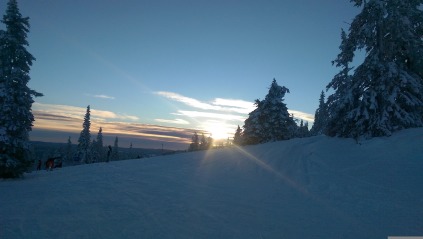 Det norske skiområde Trysil er et af de mest populære skirejsemål for familier. Området har en masse at byde på, når det kommer til skiløb. Der er rig mulighed for både at stå på alpinski og langrendski - så lige meget, hvad du foretrækker, er det perfekt til formålet. Der er ligeledes løjper og skiskoler for hele familien, og der er dermed grundlag for en skøn ferie for hele familien.