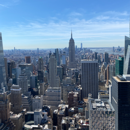 Rockefeller Center er en kæmpe oplevelse at besøge. Udsigten fra toppen er eminent, og man kan dårligt nok forestille sig en bedre udsigt fra noget andet sted i New York eller resten af verden. Nyd synet af Empire State Building, Central Park, Frihedsgudinden, Brooklyn Bridge og meget, meget mere.