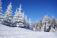 familievenlige skiområder, skiferie for hele familien, bedste skiområder for børn, børnevenlige skiområder, børnevenlig skiferie, skiferie for børn, skiferie for hele familien, skiferie for begyndere, nybegyndere skiferie, familieferie i norge, sverige, Østrig, tyskland, schweiz