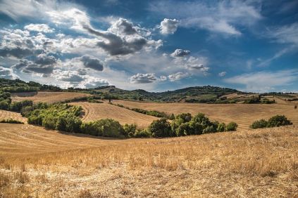 rejse toscana, rejs til toscana, rundrejse i toscana, rejse til lucca, rejse til pisa, rejse til firenze, rejsetilbud italien, rejsetilbud toscana, toscana vin, toscana vinproduktion, toscana natur, toscana byer, toscana seværdigheder