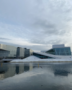 Et populært turistmål for mange udlændinge er Holmenkollenbakken - det store, majestætiske skihop højt beliggende over Oslo. Her er flere store konkurrencer blevet afholdt siden slutningen af 1800-tallet. Særligt stort var vinter-OL i 1952. Fra Holmenkollen er der en fantastisk udsigt ud over Oslo og Oslofjorden. Holmenkollenbakken er flere gange blevet renoveret, senest i 2010. Fjordene er noget af det, som Norge er mest kendt for - og her er Oslo altså ingen undtagelse. Med sine smukke, anerkendte fjorde, skærgårde og små øer, er der ingen tvivl om, at Oslo er omringet af vand. Hvis du vil lidt tættere på havnemiljøet og skærgården, kan du med fordel hoppe ombord på en af de både eller skibe, som sejler dig rundt i den smukke natur i og omkring Oslofjorden og dens små øer. På toppen af Oslo centrum - i den ene ende af Karl Johan - finder du det fine, gule kongeslot, Det Kongelige Slott. Her holder den norske kongefamilie til, på trods af flere forskellige ejendomme. Slottet bruges til officielle begivenheder, hvor kongehuset blandt andre deltager. I sommerperioden er det muligt at besøge slottet, mens du resten af året må se på udefra. I den nyere del af Oslos havn finder du Operahuset. Med sin imponerende arkitektur og smukke beliggenhed er det ikke til at tage fejl af, når du ser det. Tagkonstruktionen er et emne for sig, da den om vinteren går i ét med den frosne fjord - og da du desuden kan betræde taget - lige som du naturligvis kan besøge operaen indvendigt til en betagende og uforglemmelig forestilling.