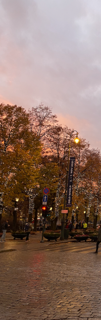 Sommetider skal det gå stærkt, også når man er på ferie. Er det tilfældet, når du besøger Oslo, så kan du med ro i maven smutte inden om en af de 22 Deli de Luca-forretninger i hovedstaden. Her finder du et kiosk-lignende koncept - kvaliteten er dog ioverhovedet kke til at klage over. Du finder alt fra sandwiches til pizza til hotdogs til wraps og drikkevarer. Om du vil nyde en bid mad i butikken eller to-go, er dit helt eget valg. Italienske lækkerier er at finde på den trendy, smarte og særdeles velbesøgte Restaurant Olivia. Med en skøn beliggenhed på Aker Brygge finder du restauranten, der både leverer god mad ved bordene og som take away. Spisestedet er stilfuldt indrettet og emmer af hygge, der giver dig lyst til at tilbringe hele aftenen her. Pizza, pasta og andre lækre, traditionelle, italienske retter er på menukortet, når du besøger Olivia. Klassiske, norske retter er værd at smage, når du besøger vores naboer i Norge. På Kaffistova, beliggende i centrum, finder du lækre nationalretter, som kan indtages til frokost og aften. Kjøttkaker og laks er blot to af de smagfulde serveringer, som er på menukortet hos Kaffistova. Besøger du restauranten ved juletid, kan du se frem til at blive budt på norske juleretter, som nordmændene selv tyer til i december.