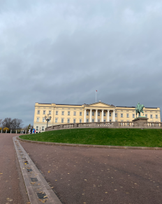 Øst for centrum - tæt på fjorden - finder du Ekebergparken. I et stejlt (!!) terræn er der en skøn rute, som du kan gå mellem klippesider og træer. Undervejs kan du nyde parkens skulpture og imponerende udsigt ud over Oslo og dens fjorde. På toppen finder du den helt store udsigtspost og en ganske anerkendt restaurant, nemlig den flotte Ekeberg Restauranten. Oslos, måske, mest kendte gade hedder Karl Johan. Gaden ligger i centrum af Oslo, og huser en masse forskellige butikker. Det er den norske hovedstads helt store shoppinggade, hvor du finder alt fra tøj og interiør til spisesteder og elektronik. Karl Johan strækker sig fra Oslo Sentralstasjon til Det Kongelige Slott i et smukt, bakket terræn midt i byens pulserende midte. Vest for det centrale centrum finder du Majorstuen, som er et af Oslos mest eksklusive og dyre kvartere. I samme område finder du den store og hyggelige park, Vigelandsparken. Her er der rig mulighed for sjov og leg, lige som der er fyldt med imponerende, kulturelle skulpture. På toppen af parken er der en flot udsigt ud over dele af byen samt det kendte skihop, Holmenkollen. I den nyere del af Oslos havn finder du Aker Brygge - et utrolig hyggeligt og pænt område langs en af de mange kajer i havneområdet. Du finder hovedsageligt restauranter og spisesteder på Aker Brygge, og det er det helt perfekte sted at besøge, hvis du skal have noget godt at spise i flotte omgivelser. Du finder alt fra norsk- til italiensk- og asiatisk mad i området.