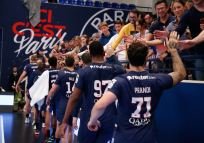 Turen kan skræddersyes, men kan se sådan ud: Dag 1-3: Paris Dag 3: Hjemrejse I VIP-billetten er følgende inkluderet: - Siddeplads i bedste kategori - Cocktail-reception - Buffet inkl. drikkevarer - Inkl. vin, champagne og øl OBS. Begrænset antal VIP-billetter pr. kamp.