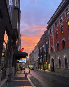 Øst for centrum - tæt på fjorden - finder du Ekebergparken. I et stejlt (!!) terræn er der en skøn rute, som du kan gå mellem klippesider og træer. Undervejs kan du nyde parkens skulpture og imponerende udsigt ud over Oslo og dens fjorde. På toppen finder du den helt store udsigtspost og en ganske anerkendt restaurant, nemlig den flotte Ekeberg Restauranten. Oslos, måske, mest kendte gade hedder Karl Johan. Gaden ligger i centrum af Oslo, og huser en masse forskellige butikker. Det er den norske hovedstads helt store shoppinggade, hvor du finder alt fra tøj og interiør til spisesteder og elektronik. Karl Johan strækker sig fra Oslo Sentralstasjon til Det Kongelige Slott i et smukt, bakket terræn midt i byens pulserende midte. Vest for det centrale centrum finder du Majorstuen, som er et af Oslos mest eksklusive og dyre kvartere. I samme område finder du den store og hyggelige park, Vigelandsparken. Her er der rig mulighed for sjov og leg, lige som der er fyldt med imponerende, kulturelle skulpture. På toppen af parken er der en flot udsigt ud over dele af byen samt det kendte skihop, Holmenkollen. I den nyere del af Oslos havn finder du Aker Brygge - et utrolig hyggeligt og pænt område langs en af de mange kajer i havneområdet. Du finder hovedsageligt restauranter og spisesteder på Aker Brygge, og det er det helt perfekte sted at besøge, hvis du skal have noget godt at spise i flotte omgivelser. Du finder alt fra norsk- til italiensk- og asiatisk mad i området.