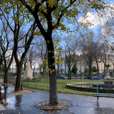 I enden af Champs-Elysées finder du den imponerende Triumfbue, som er kendt vidt og bredt. Midt i en enormt kaotisk rundkørsel ligger den store, lyse konstruktion, som troner smukt udover den store forretningsgade i den vestlige del af Paris' centrum. Fra toppen af Triumfbuen kan du nyde udsigten udover byen - hvor du såmen kan se Eiffeltårnet og flere store bygninger, såsom Grand Palais og Les Invalides. Paris' uden tvivl mest kendte varemærke er Eiffeltårnet. Den 300 meter høje konstruktion skyder flot op i vejret i det 7. arrondissement i Paris. Med sin hyggelige park og have er der lagt op til en smuk oplevelse, når du besøger den franske hovedstads varetegn nummer 1. Hvis du har mod på højder - og har lagt penge til side til det ;-) - så er det en fed oplevelse at komme op i Eiffeltårnet. Højt over byen ligger en smuk perle placeret. Sacré Cæur er et af de mange (!!) flotte bygningsværker, som gemmer sig i Paris. På en bakketop i det hyggelige Montmatre-område ligger kirken, som først blev indviet efter 1. verdenskrig. Dermed er bygningsværket et af de nyere af de gamle, smukke værker. Sacré Cæur betyder desuden "Hellige hjerte", og hylder fred og faldne krigere.Det kendte - og anerkendte - museum, Louvre, er et besøg værd. Med sine mange smukke former for kunst er det et fantastisk sted at besøge. Om du er kunstkender eller ej, så er det en stor oplevelse. Undervejs støder du på kunstværker som Mona Lisa - mens du også kan opleve et hav af forskellige skulpturer og gamle fund på tætteste hold. Unge og studerende besøger museet gratis.